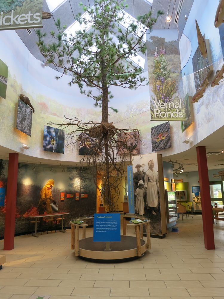 Albany Pine Bush Attraction Albany NY