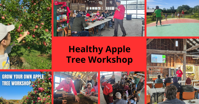 Healthy Apple Tree Workshop at Hurds Family Farm 