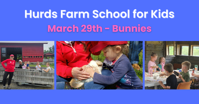 Hurds Farm School for Kids - Bunnies