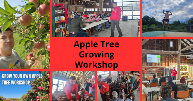 Apple Tree Growing Workshop at Hurds Family Farm