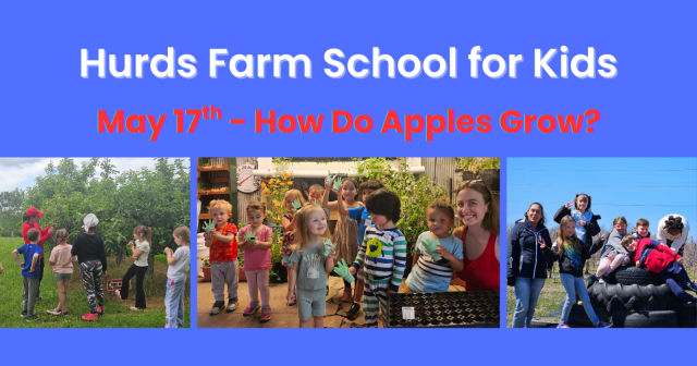 Hurds Farm School for Kids - How Do Apples Grow?